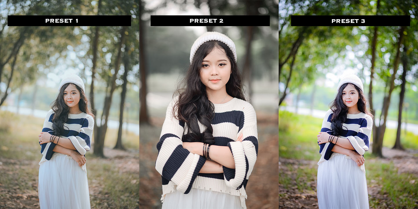 Preset là gì? Ứng dụng của preset trong chỉnh ảnh trên Photoshop và  Lightroom