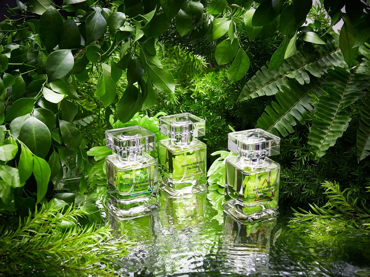 Cách tạo ánh sáng khi chụp ảnh (3)